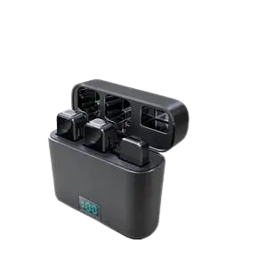 Thần thú thanh long bạch hổ